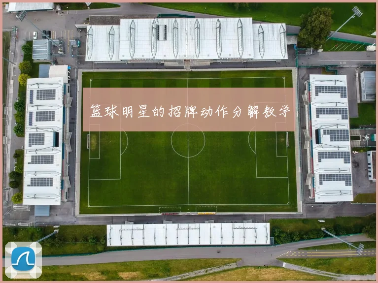 篮球明星的招牌动作分解教学